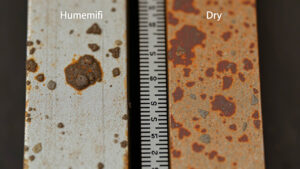 Tool Steel to Rust